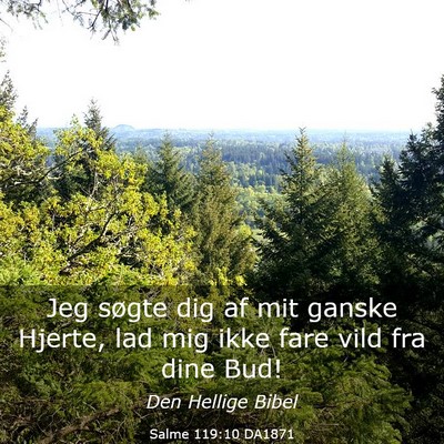 Picture 03 - Salme 119:10 DA1871 - Jeg søgte dig af mit ganske Hjerte, lad mig ikke - Bible Verse Picture