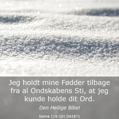 Picture 03 - Salme 119:101 DA1871 - Jeg holdt mine Fødder tilbage fra al Ondskabens - Bible Verse Picture