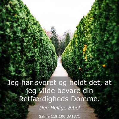 Picture 03 - Salme 119:106 DA1871 - Jeg har svoret og holdt det, at jeg vilde bevare - Bible Verse Picture