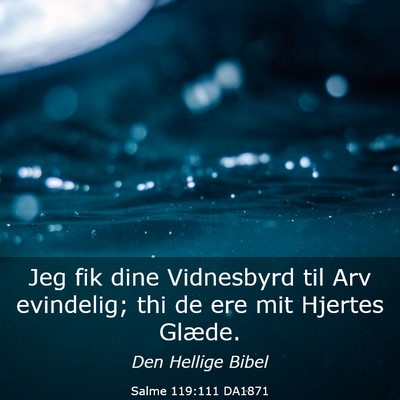 Picture 03 - Salme 119:111 DA1871 - Jeg fik dine Vidnesbyrd til Arv evindelig; thi de - Bible Verse Picture