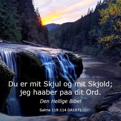 Picture 03 - Salme 119:114 DA1871 - Du er mit Skjul og mit Skjold; jeg haaber paa dit - Bible Verse Picture