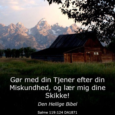 Picture 03 - Salme 119:124 DA1871 - Gør med din Tjener efter din Miskundhed, og lær - Bible Verse Picture