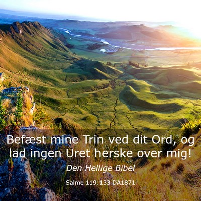 Picture 03 - Salme 119:133 DA1871 - Befæst mine Trin ved dit Ord, og lad ingen Uret - Bible Verse Picture