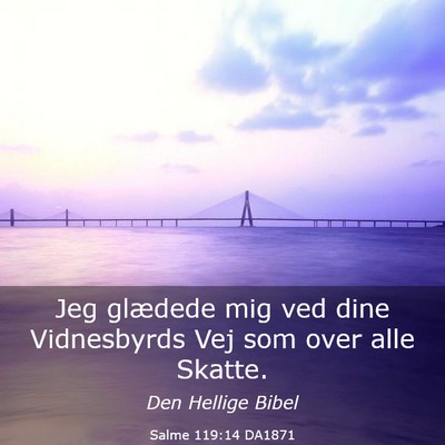 Picture 03 - Salme 119:14 DA1871 - Jeg glædede mig ved dine Vidnesbyrds Vej som - Bible Verse Picture