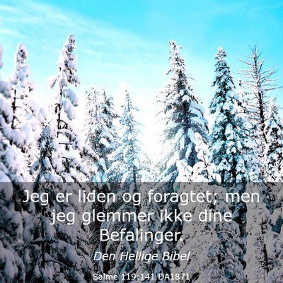 Picture 03 - Salme 119:141 DA1871 - Jeg er liden og foragtet; men jeg glemmer ikke - Bible Verse Picture