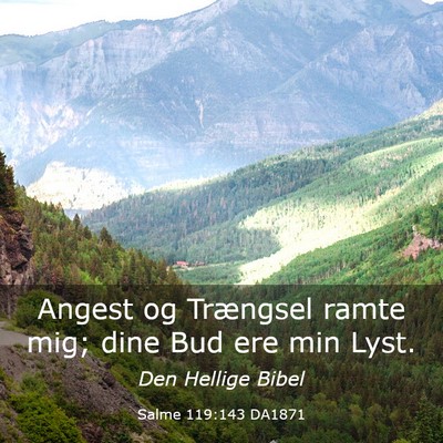 Picture 03 - Salme 119:143 DA1871 - Angest og Trængsel ramte mig; dine Bud ere min - Bible Verse Picture