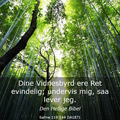 Picture 03 - Salme 119:144 DA1871 - Dine Vidnesbyrd ere Ret evindelig; undervis mig, - Bible Verse Picture