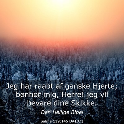 Picture 03 - Salme 119:145 DA1871 - Jeg har raabt af ganske Hjerte; bønhør mig, - Bible Verse Picture