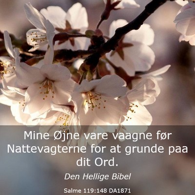 Picture 03 - Salme 119:148 DA1871 - Mine Øjne vare vaagne før Nattevagterne for at - Bible Verse Picture
