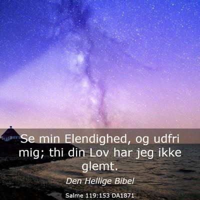 Picture 03 - Salme 119:153 DA1871 - Se min Elendighed, og udfri mig; thi din Lov har - Bible Verse Picture