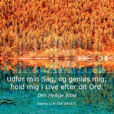 Picture 03 - Salme 119:154 DA1871 - Udfør min Sag, og genløs mig; hold mig i Live - Bible Verse Picture