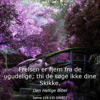 Picture 03 - Salme 119:155 DA1871 - Frelsen er fjern fra de ugudelige; thi de søge - Bible Verse Picture