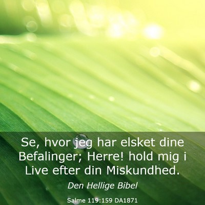Picture 03 - Salme 119:159 DA1871 - Se, hvor jeg har elsket dine Befalinger; Herre! - Bible Verse Picture
