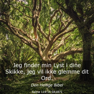 Picture 03 - Salme 119:16 DA1871 - Jeg finder min Lyst i dine Skikke, jeg vil ikke - Bible Verse Picture