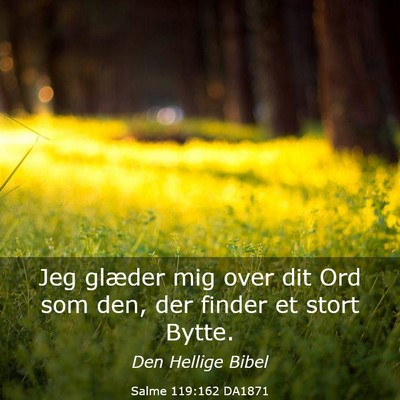 Picture 03 - Salme 119:162 DA1871 - Jeg glæder mig over dit Ord som den, der finder - Bible Verse Picture