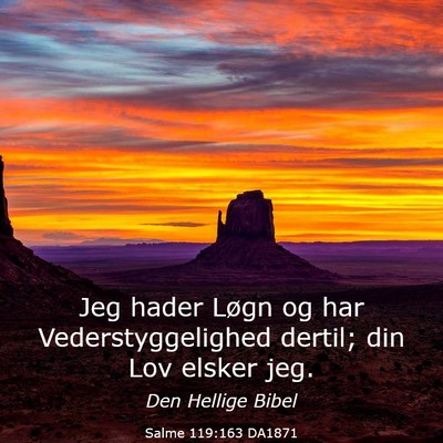 Picture 03 - Salme 119:163 DA1871 - Jeg hader Løgn og har Vederstyggelighed dertil; - Bible Verse Picture