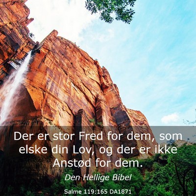 Picture 03 - Salme 119:165 DA1871 - Der er stor Fred for dem, som elske din Lov, og - Bible Verse Picture