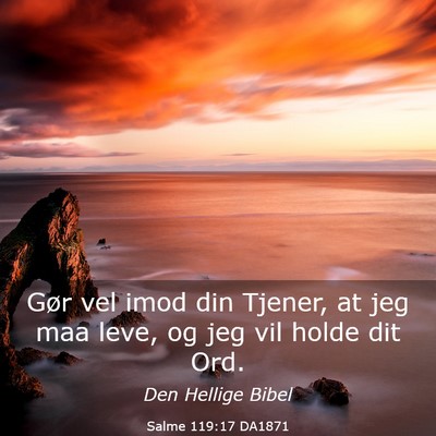 Picture 03 - Salme 119:17 DA1871 - Gør vel imod din Tjener, at jeg maa leve, og jeg - Bible Verse Picture