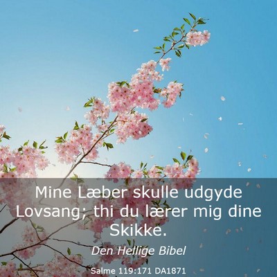 Picture 03 - Salme 119:171 DA1871 - Mine Læber skulle udgyde Lovsang; thi du lærer - Bible Verse Picture