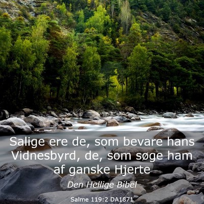 Picture 03 - Salme 119:2 DA1871 - Salige ere de, som bevare hans Vidnesbyrd, de, - Bible Verse Picture