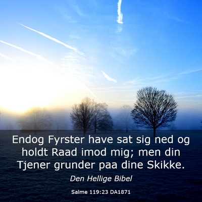 Picture 03 - Salme 119:23 DA1871 - Endog Fyrster have sat sig ned og holdt Raad imod - Bible Verse Picture