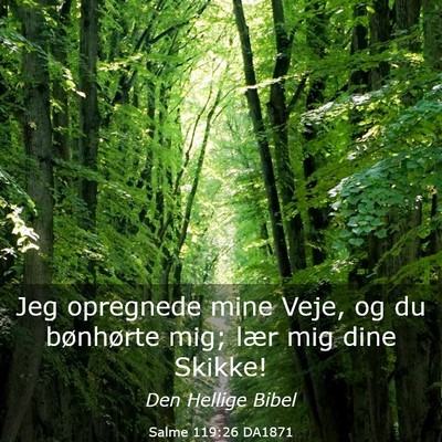 Picture 03 - Salme 119:26 DA1871 - Jeg opregnede mine Veje, og du bønhørte mig; - Bible Verse Picture