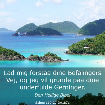 Picture 03 - Salme 119:27 DA1871 - Lad mig forstaa dine Befalingers Vej, og jeg vil - Bible Verse Picture