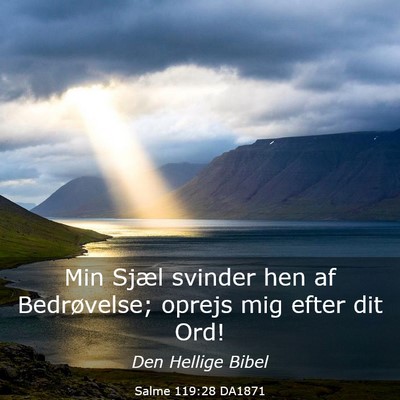 Picture 03 - Salme 119:28 DA1871 - Min Sjæl svinder hen af Bedrøvelse; oprejs mig - Bible Verse Picture