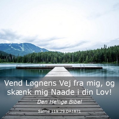 Picture 03 - Salme 119:29 DA1871 - Vend Løgnens Vej fra mig, og skænk mig Naade i - Bible Verse Picture