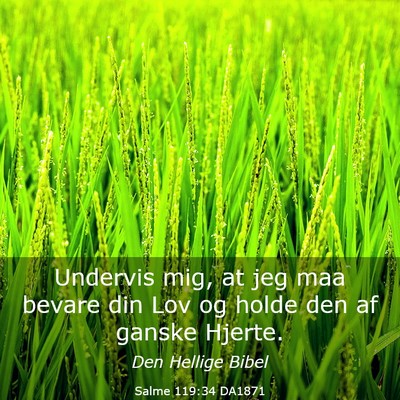 Picture 03 - Salme 119:34 DA1871 - Undervis mig, at jeg maa bevare din Lov og holde - Bible Verse Picture