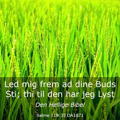 Picture 03 - Salme 119:35 DA1871 - Led mig frem ad dine Buds Sti; thi til den har - Bible Verse Picture