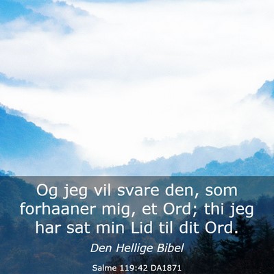 Picture 03 - Salme 119:42 DA1871 - Og jeg vil svare den, som forhaaner mig, et Ord; - Bible Verse Picture