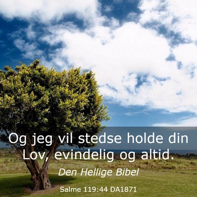 Picture 03 - Salme 119:44 DA1871 - Og jeg vil stedse holde din Lov, evindelig og - Bible Verse Picture