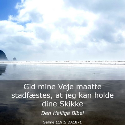 Picture 03 - Salme 119:5 DA1871 - Gid mine Veje maatte stadfæstes, at jeg kan - Bible Verse Picture