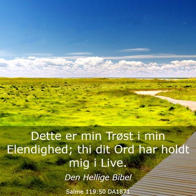 Picture 03 - Salme 119:50 DA1871 - Dette er min Trøst i min Elendighed; thi dit Ord - Bible Verse Picture