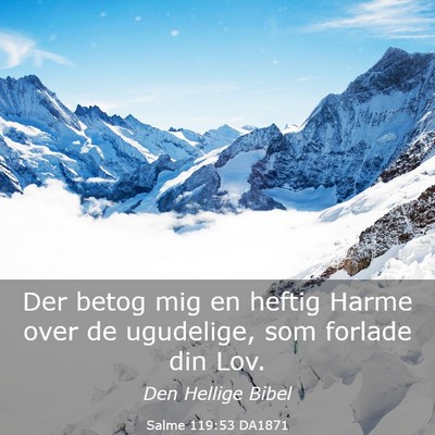 Picture 03 - Salme 119:53 DA1871 - Der betog mig en heftig Harme over de ugudelige, - Bible Verse Picture