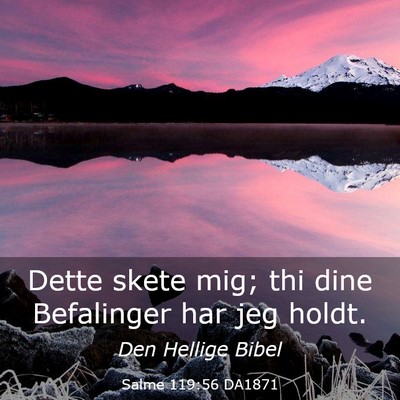 Picture 03 - Salme 119:56 DA1871 - Dette skete mig; thi dine Befalinger har jeg - Bible Verse Picture