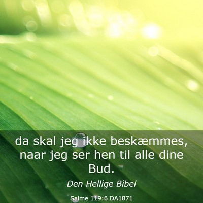 Picture 03 - Salme 119:6 DA1871 - da skal jeg ikke beskæmmes, naar jeg ser hen til - Bible Verse Picture