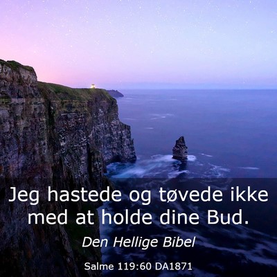 Picture 03 - Salme 119:60 DA1871 - Jeg hastede og tøvede ikke med at holde dine - Bible Verse Picture