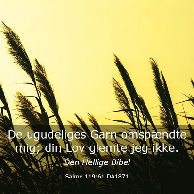 Picture 03 - Salme 119:61 DA1871 - De ugudeliges Garn omspændte mig; din Lov glemte - Bible Verse Picture