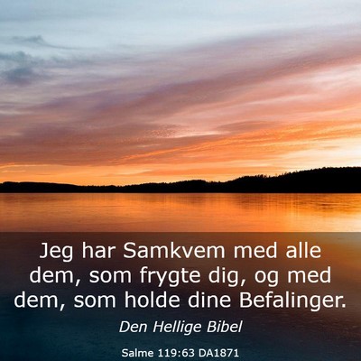 Picture 03 - Salme 119:63 DA1871 - Jeg har Samkvem med alle dem, som frygte dig, og - Bible Verse Picture