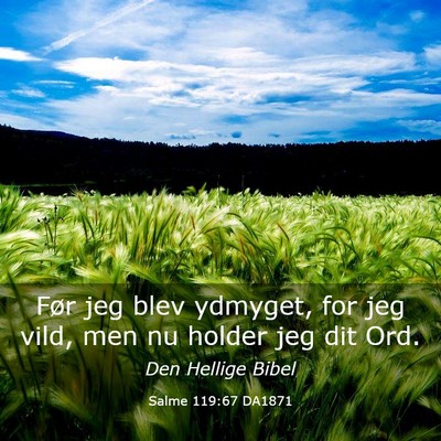 Picture 03 - Salme 119:67 DA1871 - Før jeg blev ydmyget, for jeg vild, men nu - Bible Verse Picture