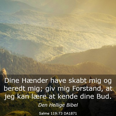Picture 03 - Salme 119:73 DA1871 - Dine Hænder have skabt mig og beredt mig; giv - Bible Verse Picture