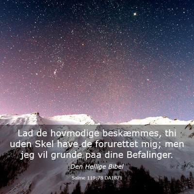 Picture 03 - Salme 119:78 DA1871 - Lad de hovmodige beskæmmes, thi uden Skel have - Bible Verse Picture