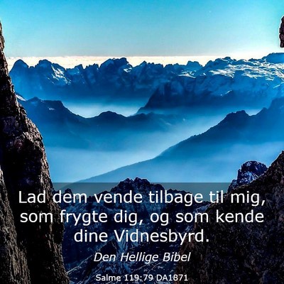 Picture 03 - Salme 119:79 DA1871 - Lad dem vende tilbage til mig, som frygte dig, og - Bible Verse Picture