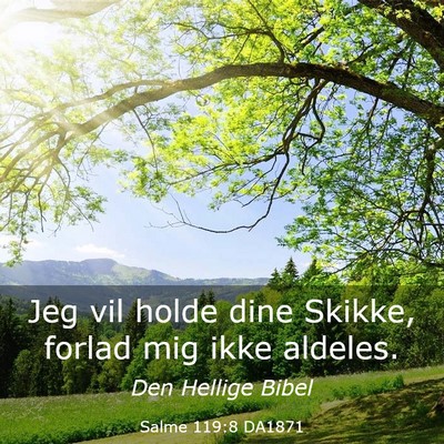 Picture 03 - Salme 119:8 DA1871 - Jeg vil holde dine Skikke, forlad mig ikke - Bible Verse Picture