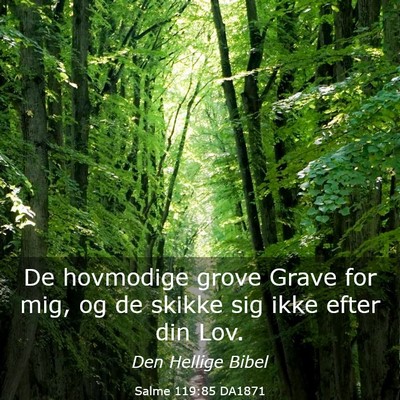 Picture 03 - Salme 119:85 DA1871 - De hovmodige grove Grave for mig, og de skikke - Bible Verse Picture