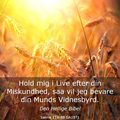 Picture 03 - Salme 119:88 DA1871 - Hold mig i Live efter din Miskundhed, saa vil jeg - Bible Verse Picture