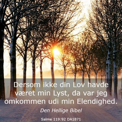 Picture 03 - Salme 119:92 DA1871 - Dersom ikke din Lov havde været min Lyst, da var - Bible Verse Picture
