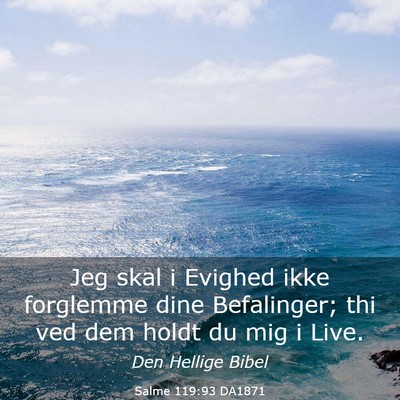 Picture 03 - Salme 119:93 DA1871 - Jeg skal i Evighed ikke forglemme dine - Bible Verse Picture
